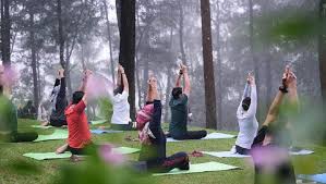 Tren Wisata Kesehatan dan Wellness Indonesia 2025: Gaya Hidup Sehat, Pariwisata Hijau, dan Ekonomi Kreatif